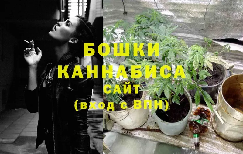 Бошки марихуана OG Kush  купить наркотик  Азов 